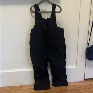 REI Co Op Timber Mountain Overalls downhill ski pants
